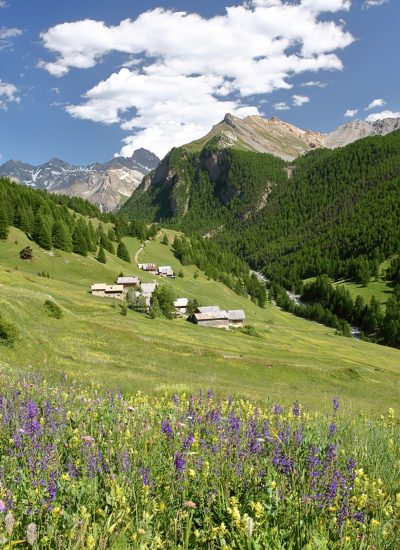 queyras